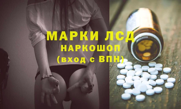 ГАЛЛЮЦИНОГЕННЫЕ ГРИБЫ Балахна
